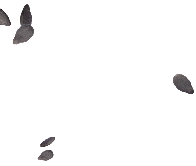 bg-left